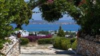 Aloe Paros Suites And Studios Drios Eksteriør bilde